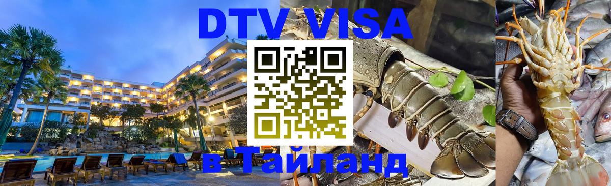 Сколько стоит DTV виза — актуальные цены, оформление даже без документов - Ростов-на-Дону 